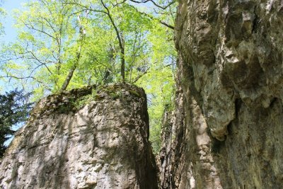 ESCALADE A LA FALAISE DU CONA