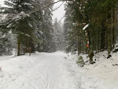 Circuit raquettes n°1 l'Orbi