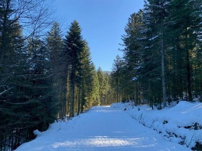 Circuit raquettes n°4 le Riant