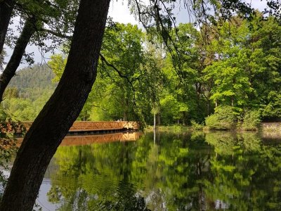 Balade Poussette - Étang de la Ballastière