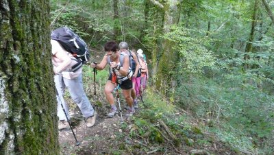 Sentier de la mirabelle