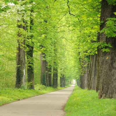 Balade Verte - Sur le haut du village (VSG 1)