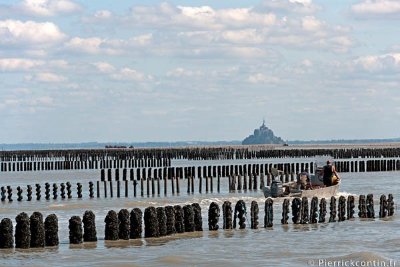 Les Bouchots à moules AOP de la Baie du Mont-Saint-Michel