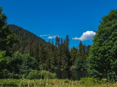 Balade du Tour du lac de Retournemer