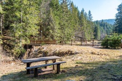 Balade poussette - La Tourbière de Belbriette