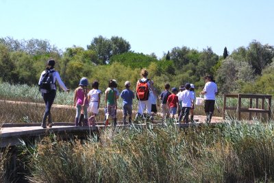 Centre de Découverte du Scamandre