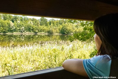 L'observatoire ornithologique