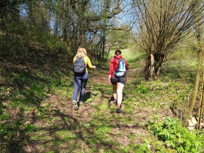 Sentier GR de pays : Tour de l'Ouest des Vosges