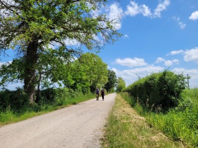 PR 33 : Chemin de la Brigandière