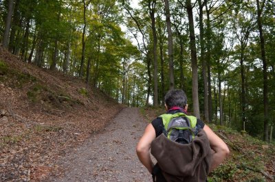 Promenade autour des châteaux de Windstein