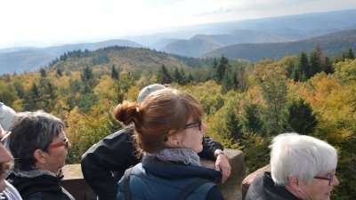 Circuit de randonnée les hauteurs de Dambach par le Hohenfels