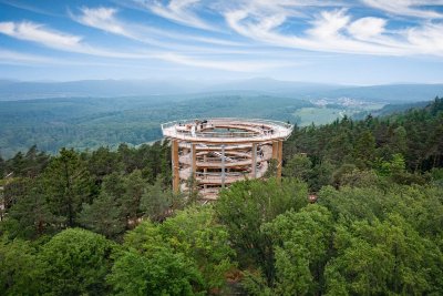 Chemin des Cimes Alsace