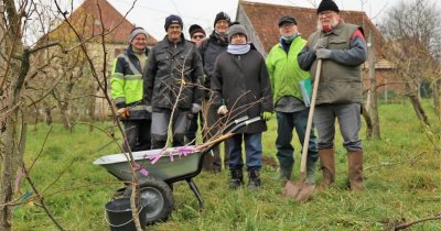 Verger conservatoire de collection de poiriers