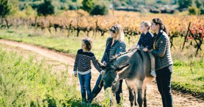 Laura Aubert Ecurie Asinerie