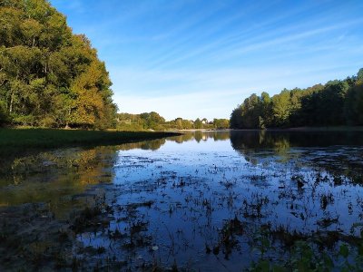 Le circuit de l'étang - Randonnée en Nord-Touraine