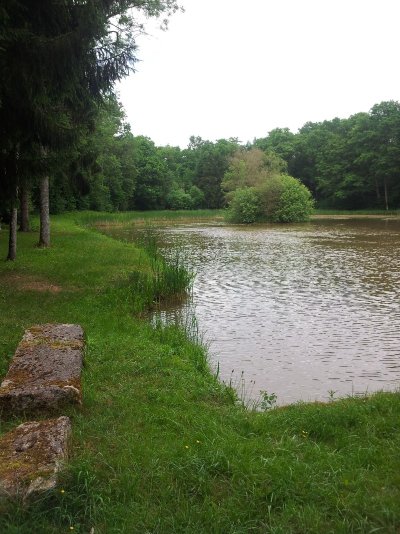 Étang de Mandres-aux-Quatre-Tours