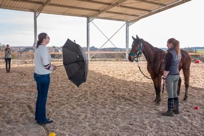 Centre équestre de Champignelles