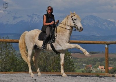 Centre équestre les chevaux du lac