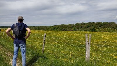 Circuit du Moulin Vieux, le cerf (jaune)