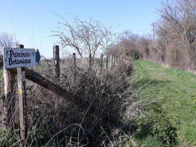 Rando Clim Parcours botanique, Chemin du boudin de son