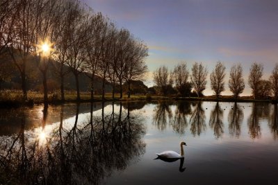 Jardin public (ou "Jardin Retrouvé")