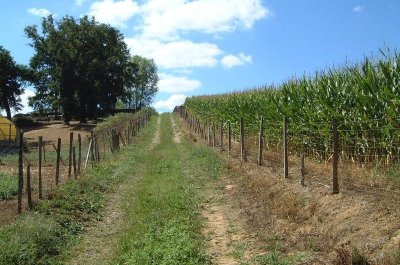 Parcours découverte à Habas