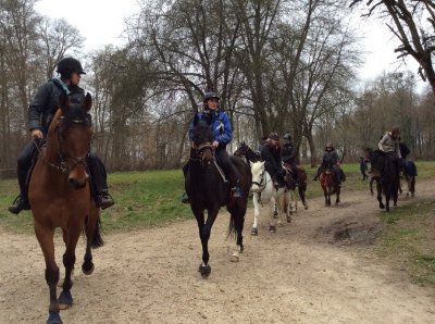 Centre équestre du Château