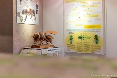 LA MAISON DE L'ABEILLE