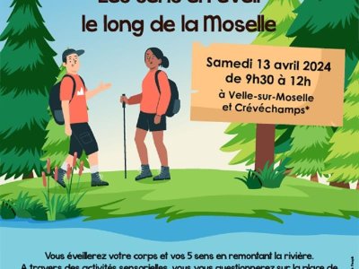 Balade autour des étangs du grand rozot