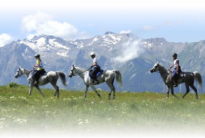 Centre équestre "Les Écuries de Champsac"