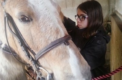 Centre équestre "La Vialle"