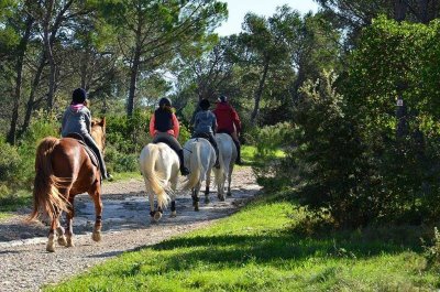 Domaine équestre de Maruejols