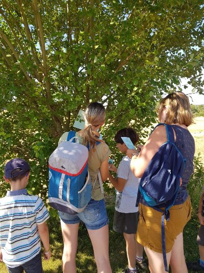 Musée Archéologique de l'Oise - MAO