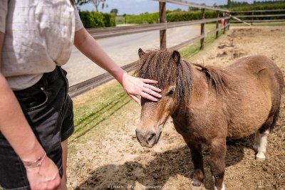Centre équestre de Vire