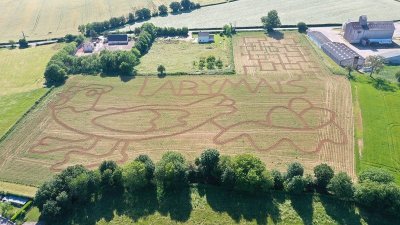 Safagri du Labymaïs