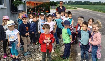 Découverte et visite guidée de la Ferme Cousandier
