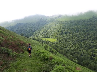 N°91 - Tumulus de la Serre