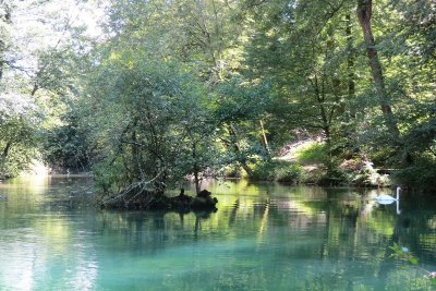 Résurgence de la Reigne