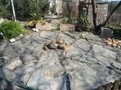 Sur les traces des premiers dinosaures