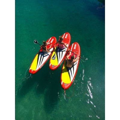 Freelandes / location de vélos