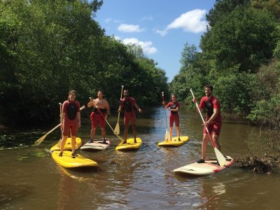 Go And Surf Attitude Stand Up