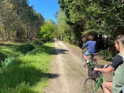 Click & Bike Biscarrosse Plage