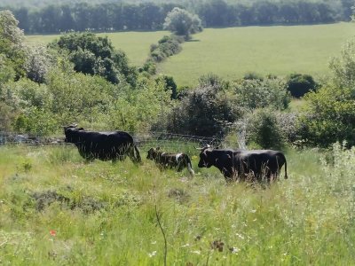 Domaine d’Aimel - Ferme découverte