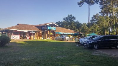 Vélos d'Albret Moliets-et-Maâ (Vélos du Golf)