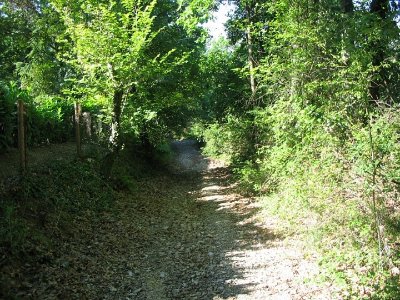 Circuit de la Forêt PR3 Génébrières