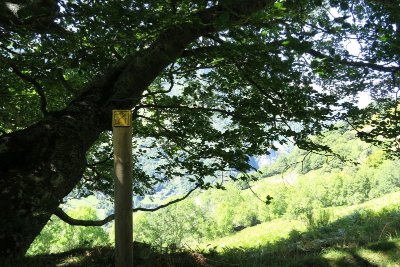 N°60 Sur les traces de l'ours petit circuit