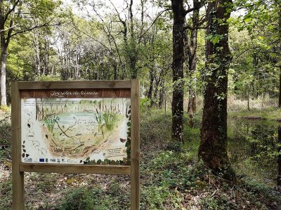 Espace Naturel Sensible des Rouchoux