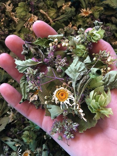 Atelier de création « Mercredi en Folie » : Impression 3D