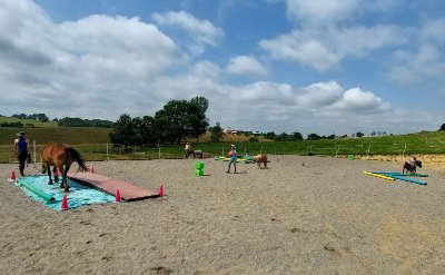 FERME EQUESTRE LES COLLINES D'EPONA