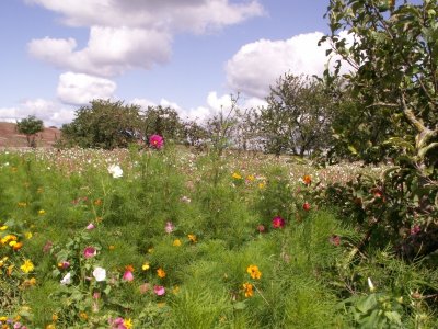 Les jardins passerelles